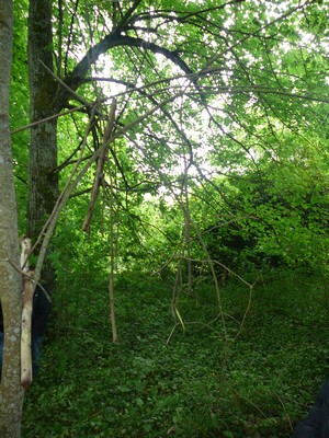 P1090566V.jpg