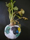 Vegetal12.jpg